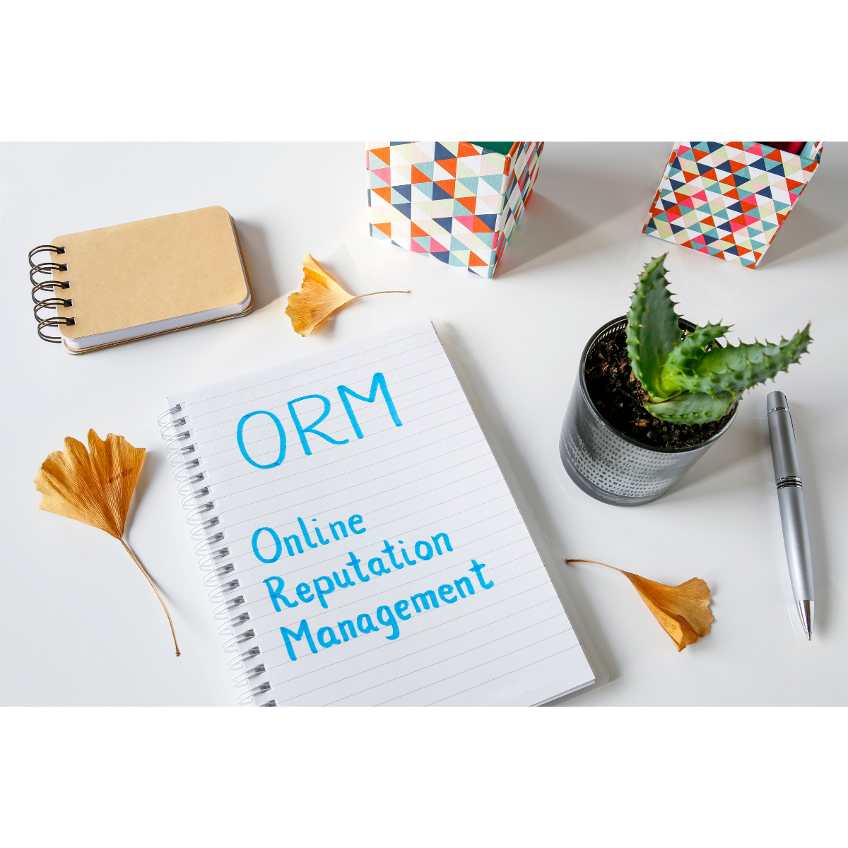 online reputation management